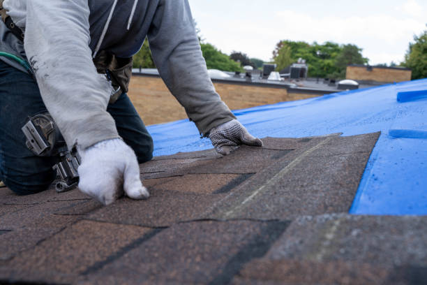 Steel Roofing in Greenfield, TN